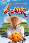 橘手之劳
